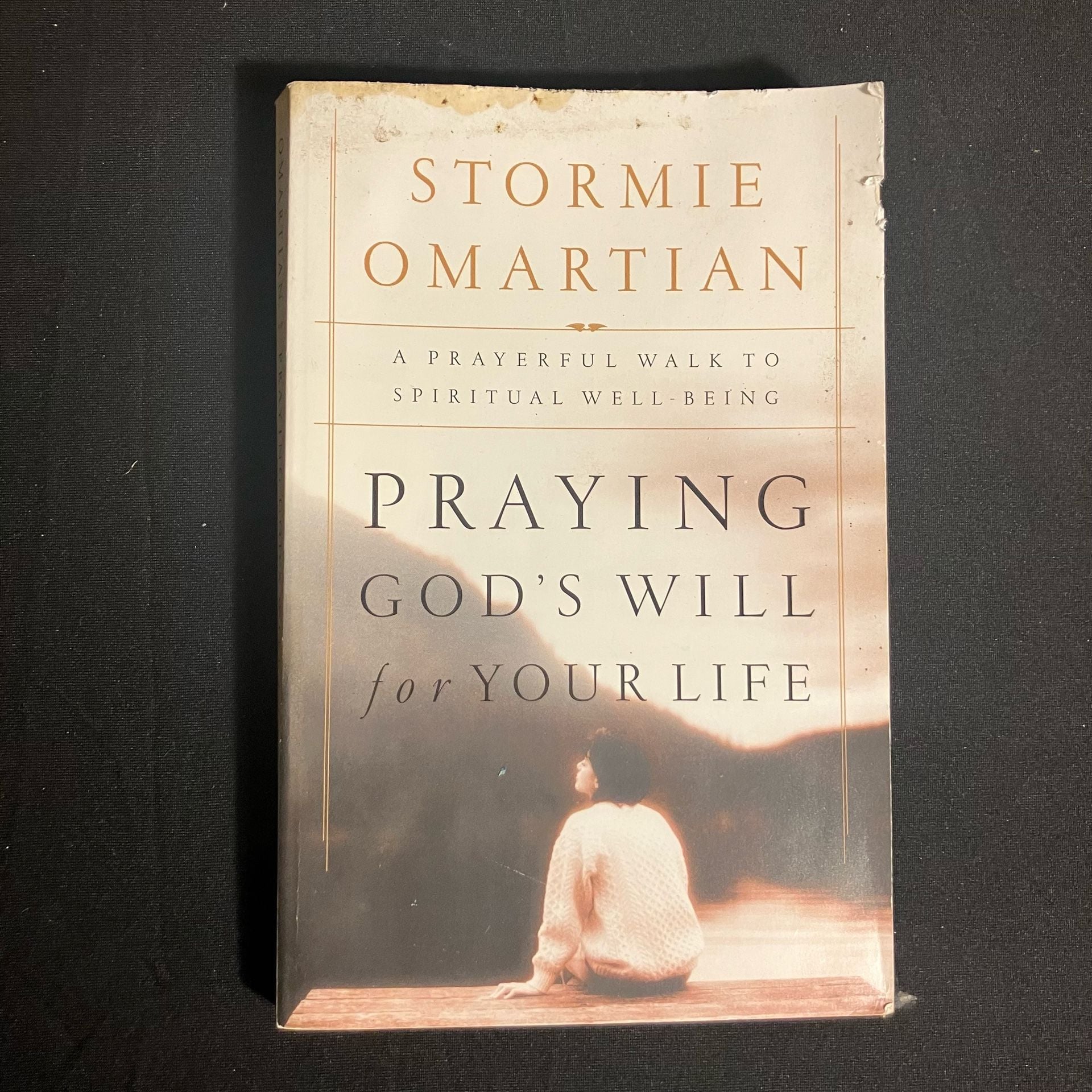 Praying God's Will for Your Life by Stormie Omartian Paperback Book 1