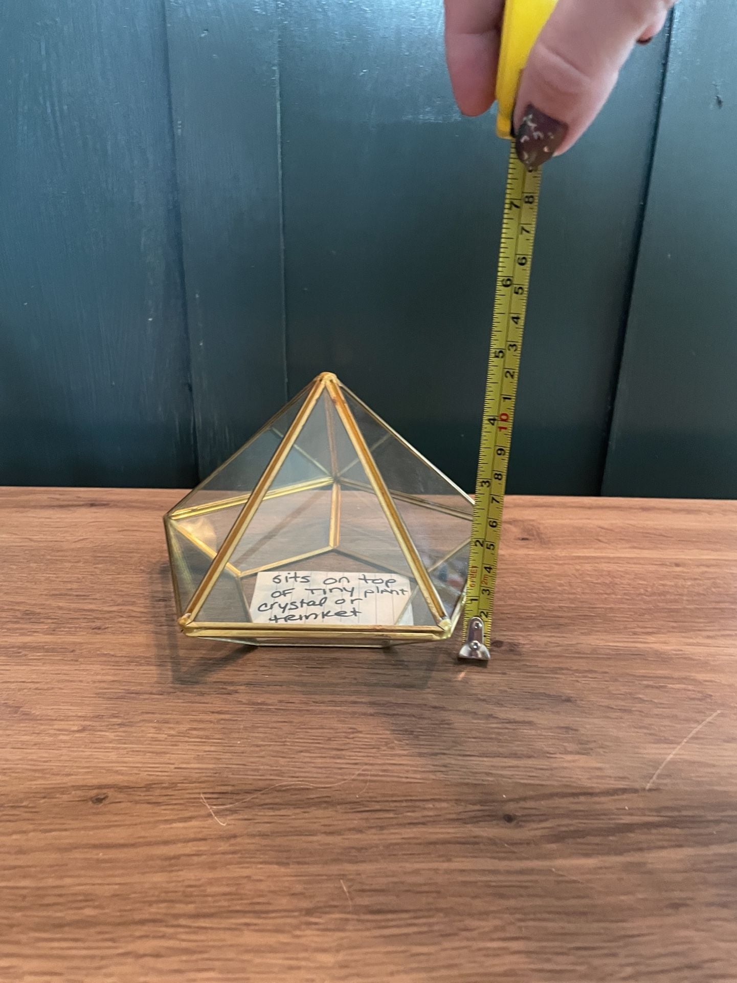 Retro Ashland Geometric Glass Terrarium Set Gold Brass 7