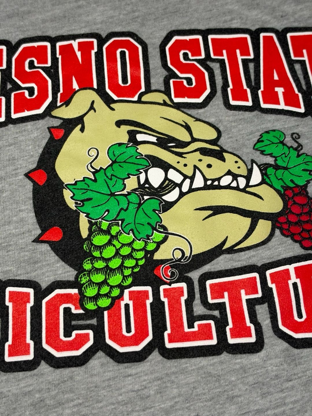 Next Level Fresno State Viticulture T-Shirt Size L 6