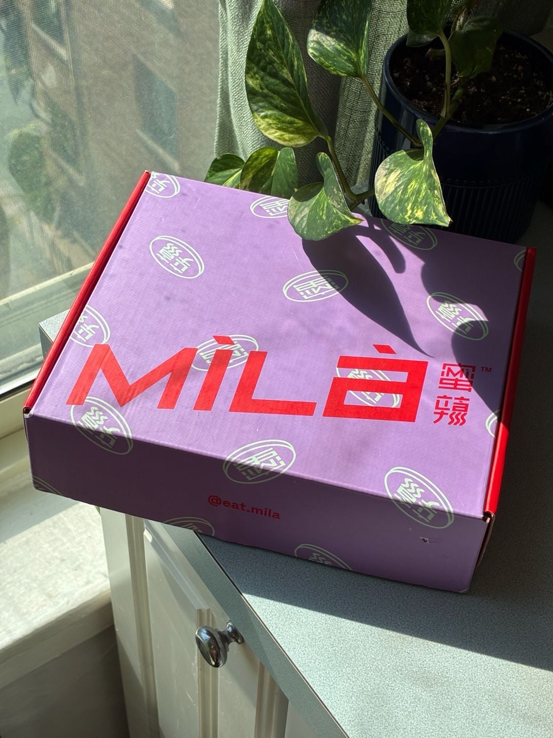 Mila Dipping Bowl Green Acrylic Divided Bowl with Box 6