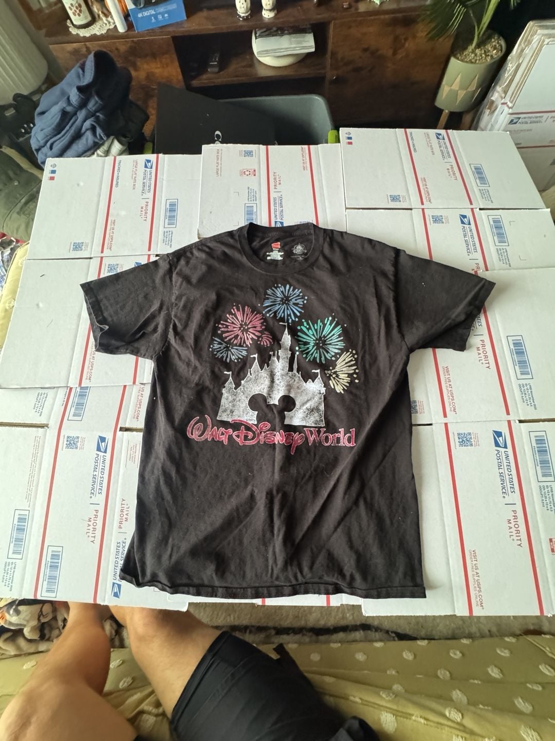Hanes Disney Parks Walt Disney World Castle Fireworks T-Shirt Size L Black 1