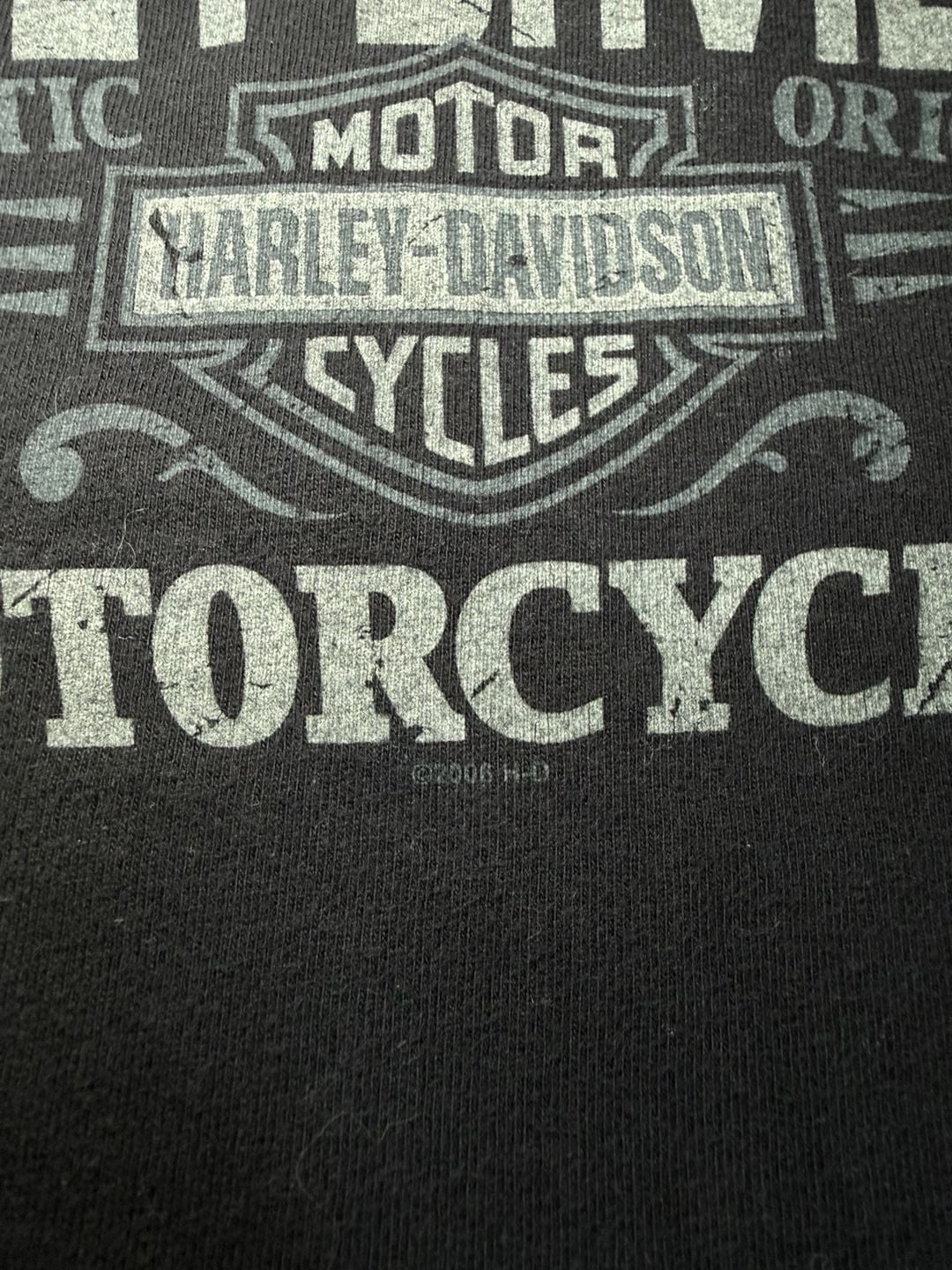 2006 Harley Davidson Buffalo New York Tee 6