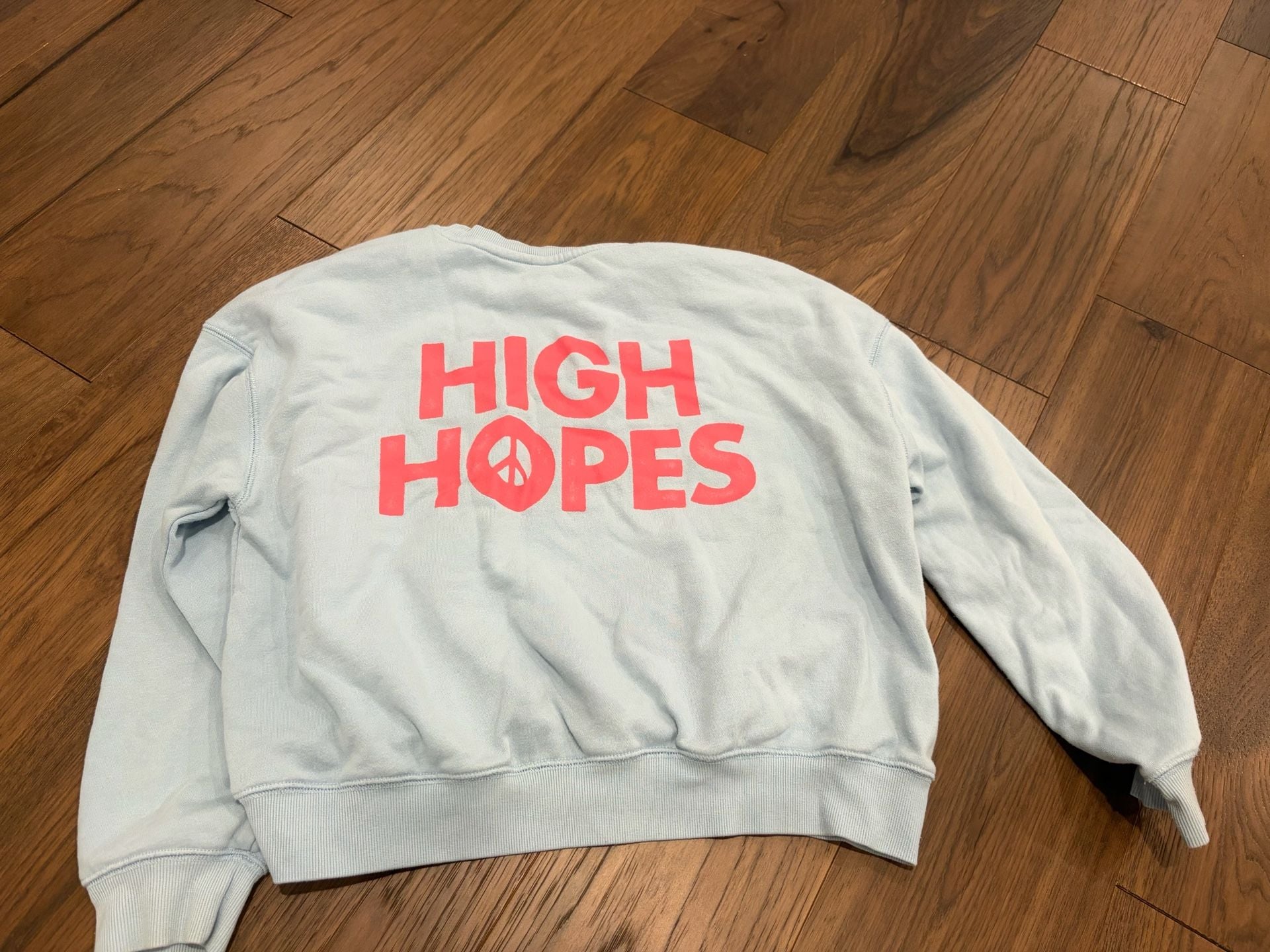 Old Navy High Hopes Sweatshirt Size XL (14-16) Light Blue Pink 7
