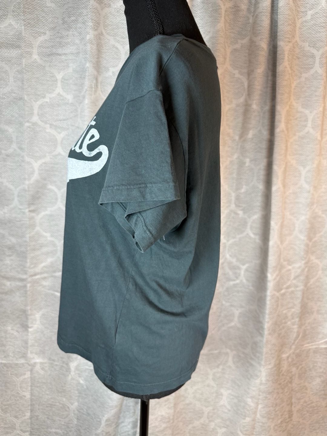 Daydreamer Tailgate Season 100% Cotton T-Shirt Size M Dark Gray 4
