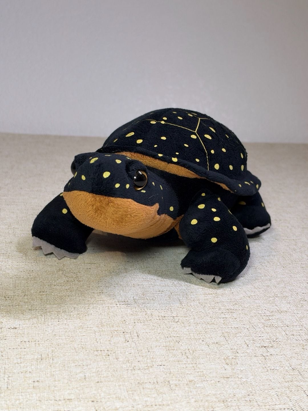 Wild Republic Spotted Turtle Plush 12 Inch Stuffed Animal 4