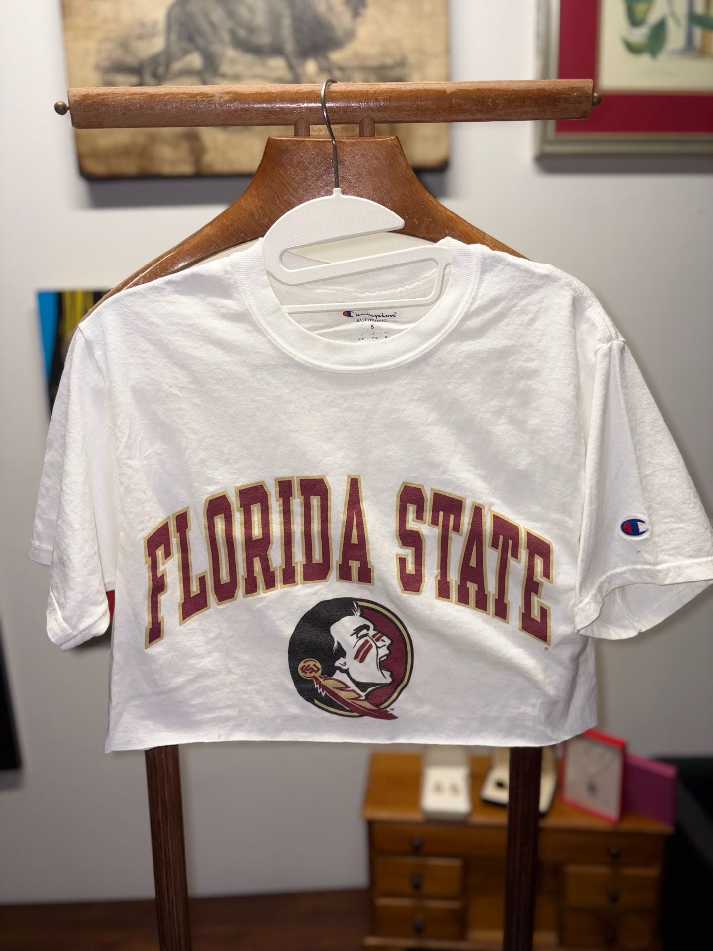 Champion Florida State University T-Shirt Size S Custom Crop 2