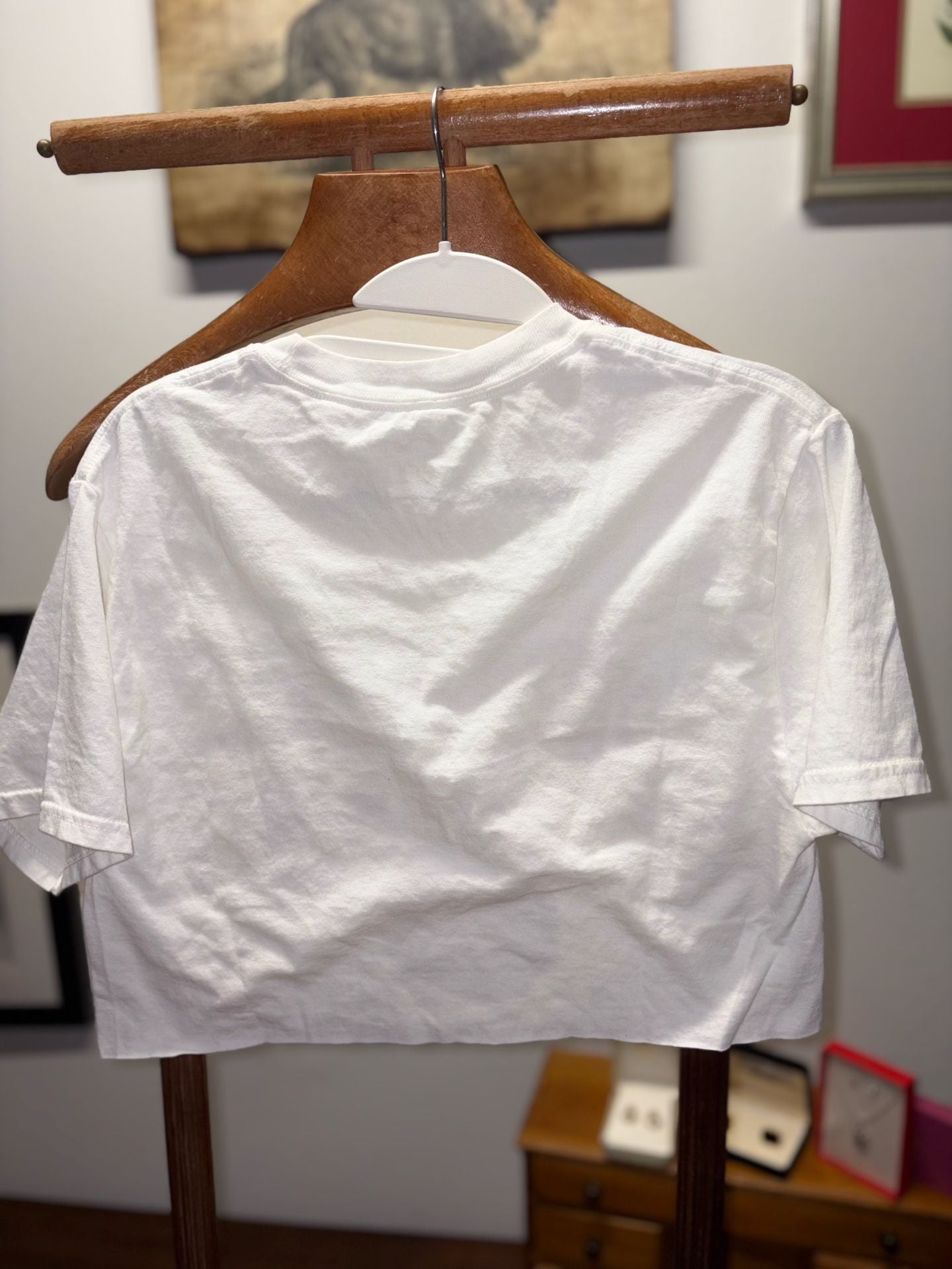 Champion Florida State University T-Shirt Size S Custom Crop 9