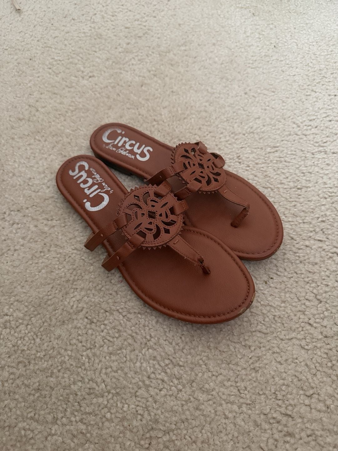 Circus by Sam Edelman Canyon Thong Sandal Size 10M Brown 2