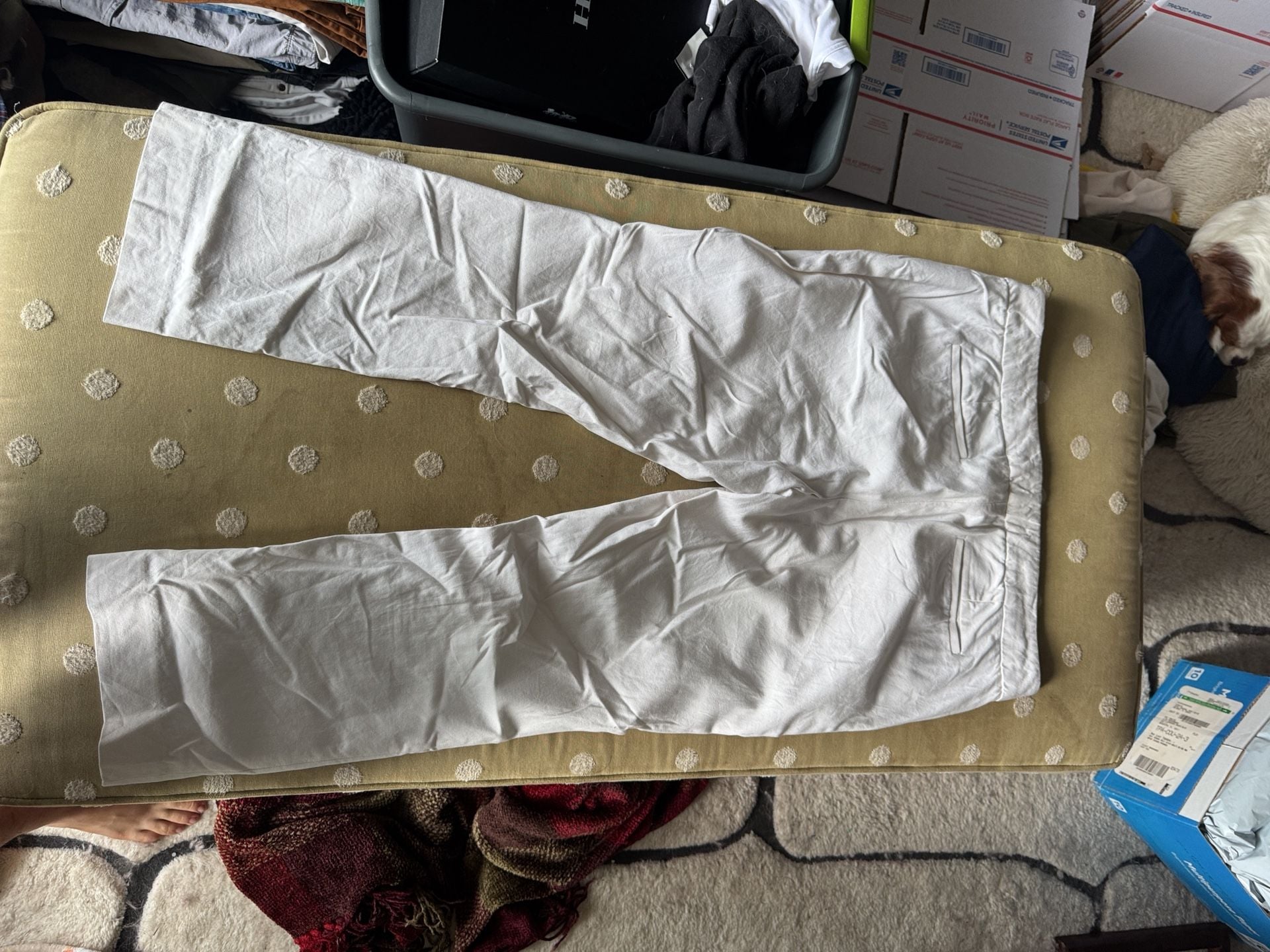 J.Crew Campbell Pant Size 12 White Trouser Chinos 4