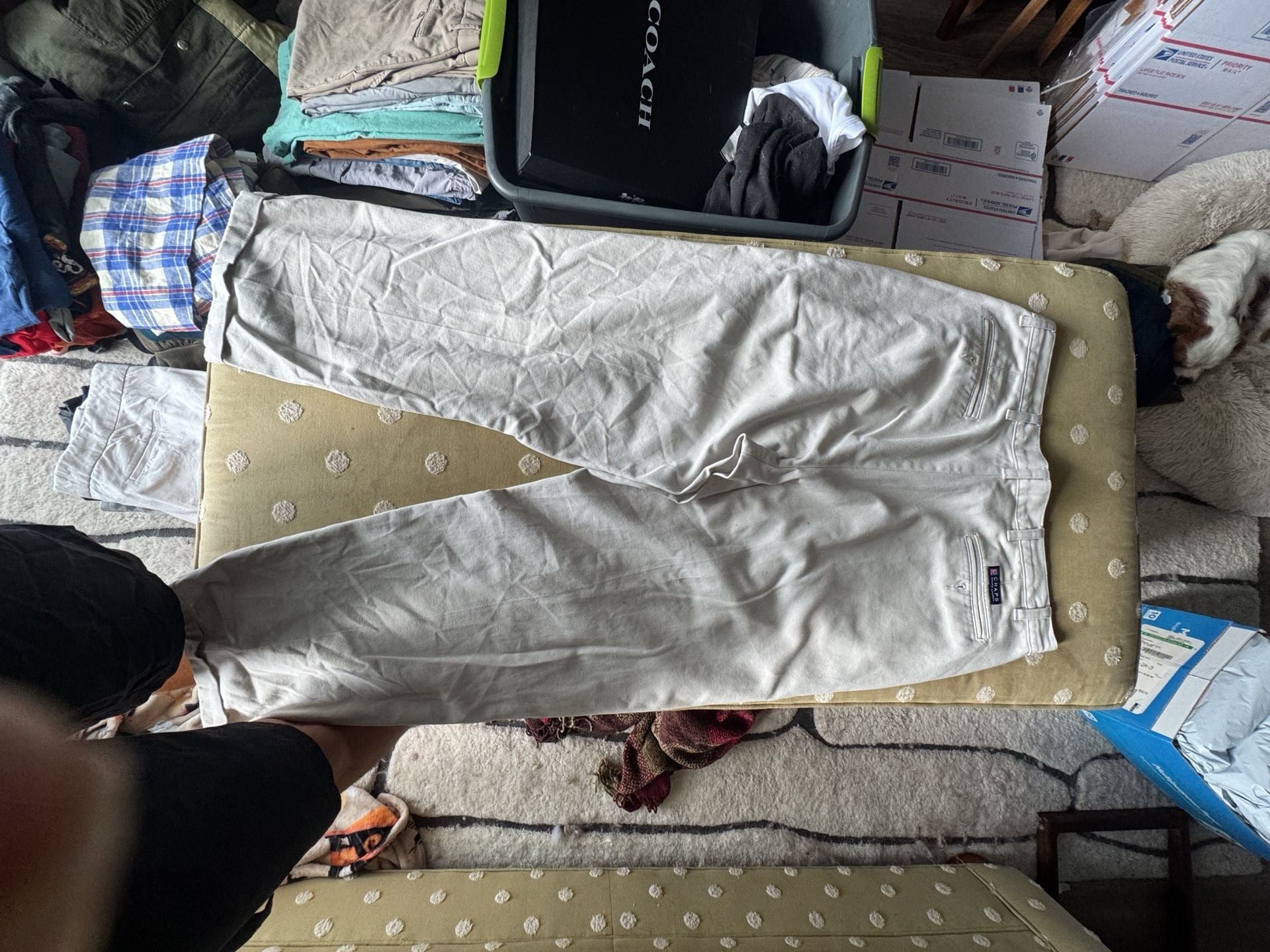Chaps Ralph Lauren Pleated Chino Pants Size 36x30 Tan Cotton 5