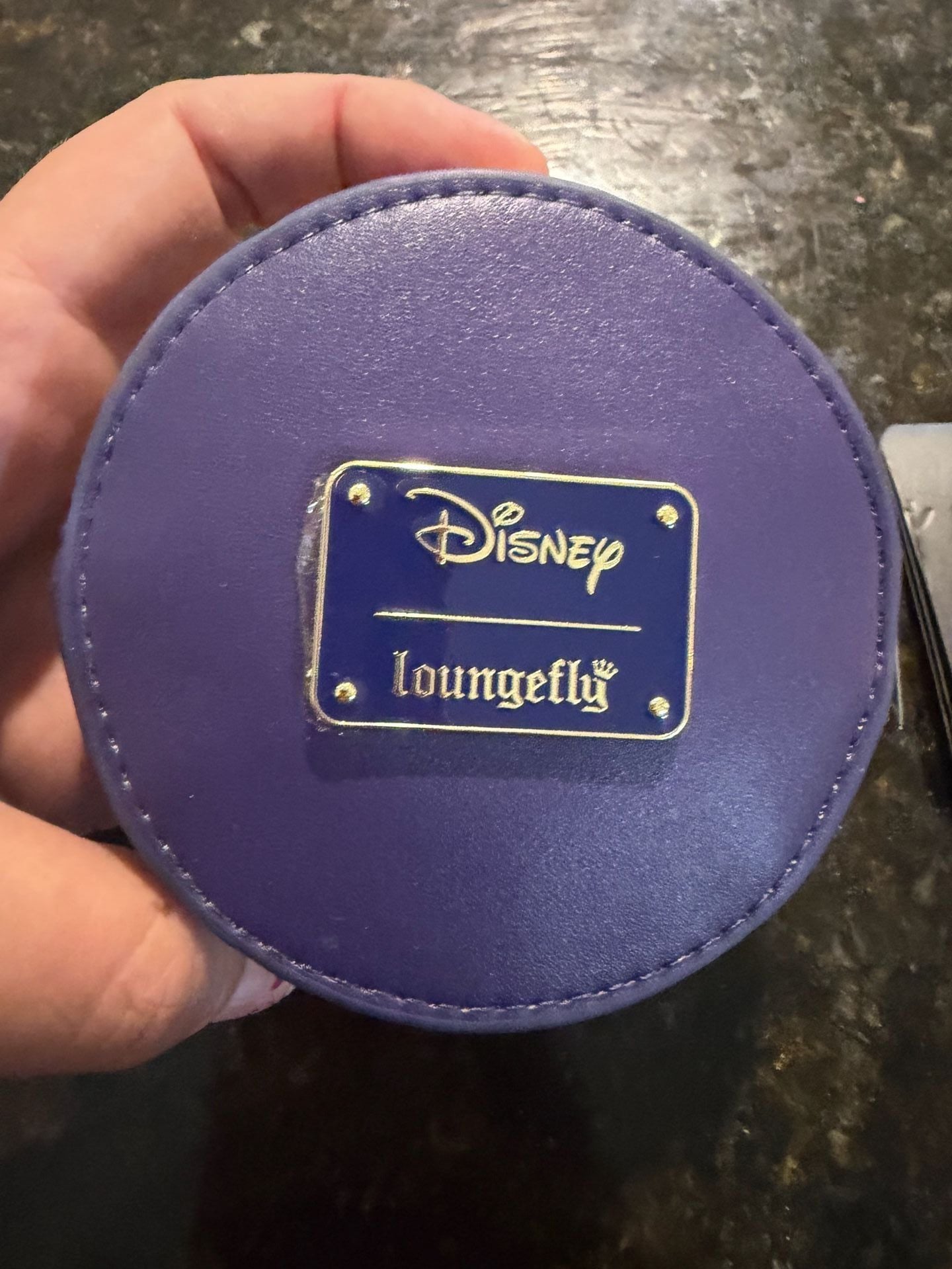 D23 Exclusive Winnie the Pooh Heffalumps & Woozles Coin Bag ... 2