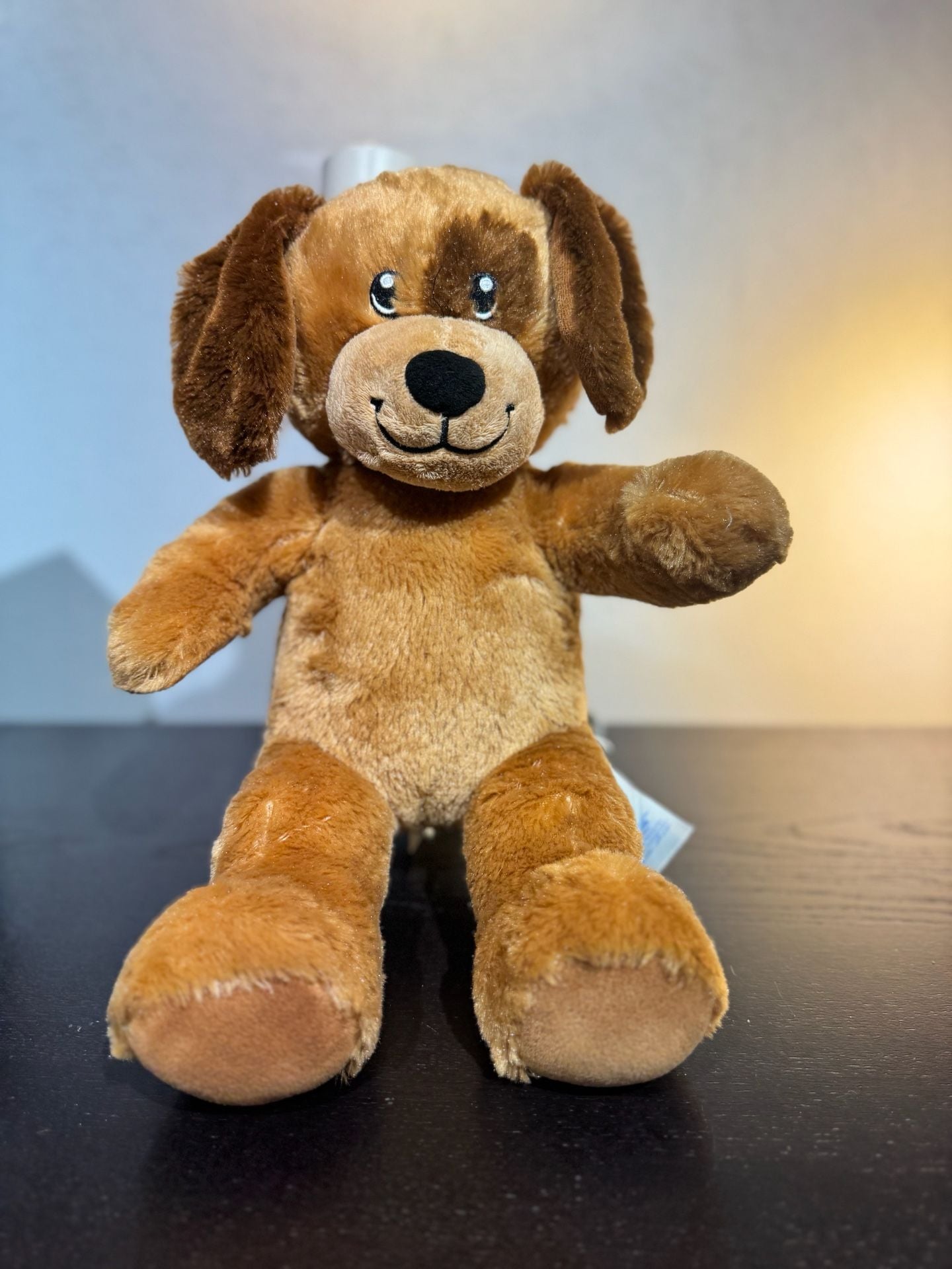 Build A Bear Chocolate Chunk Puppy Plush Stuffed Animal 1