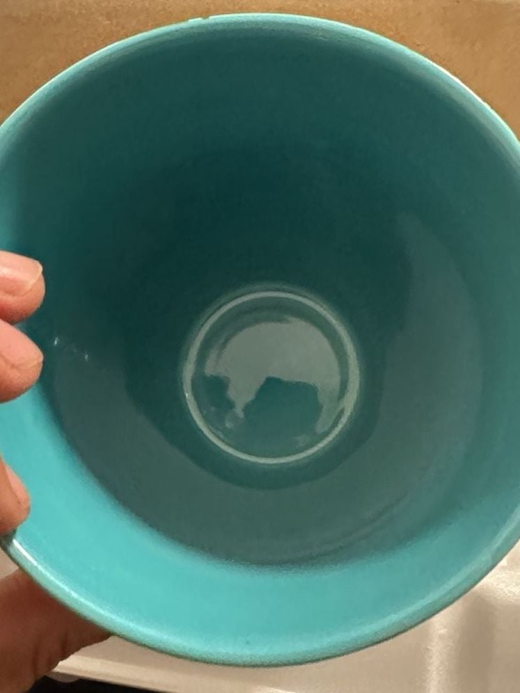 The Pioneer Woman Rose Shadow Mug 9