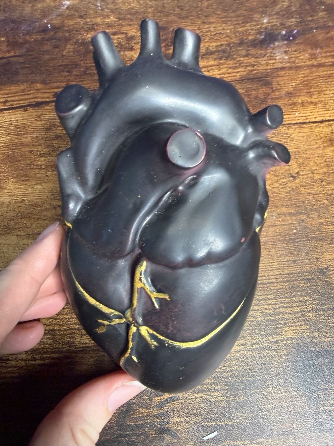 Handmade Gothic Anatomical Heart Trinket Box Black red Gold 2