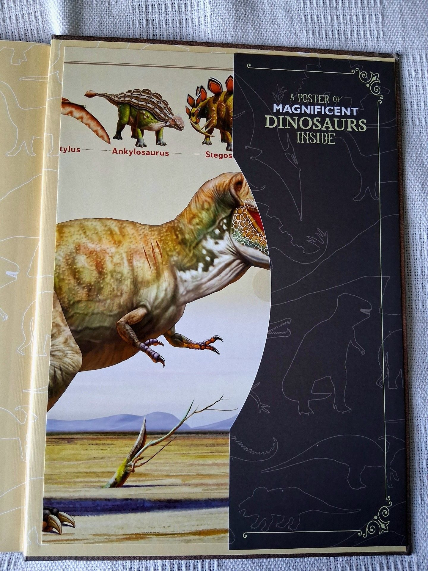 The Magnificent Book of Dinosaurs and Other Prehistoric Creatures 3