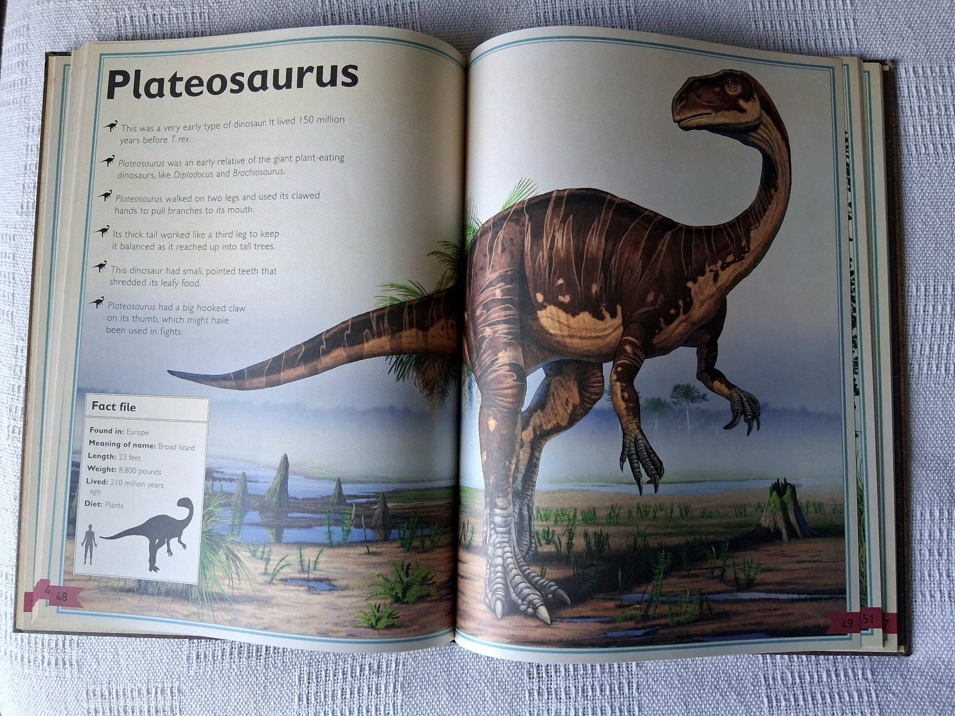 The Magnificent Book of Dinosaurs and Other Prehistoric Creatures 5