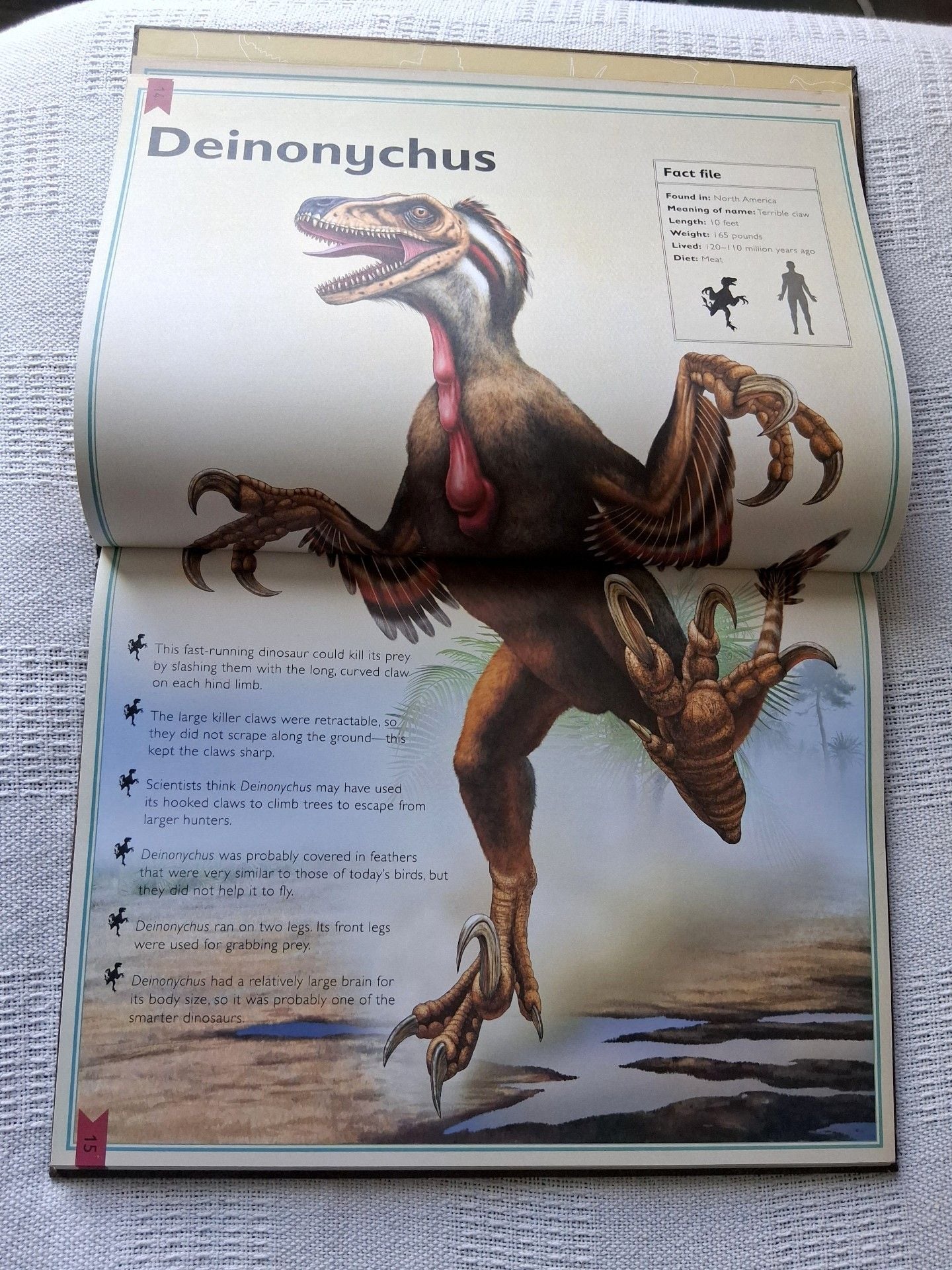 The Magnificent Book of Dinosaurs and Other Prehistoric Creatures 6