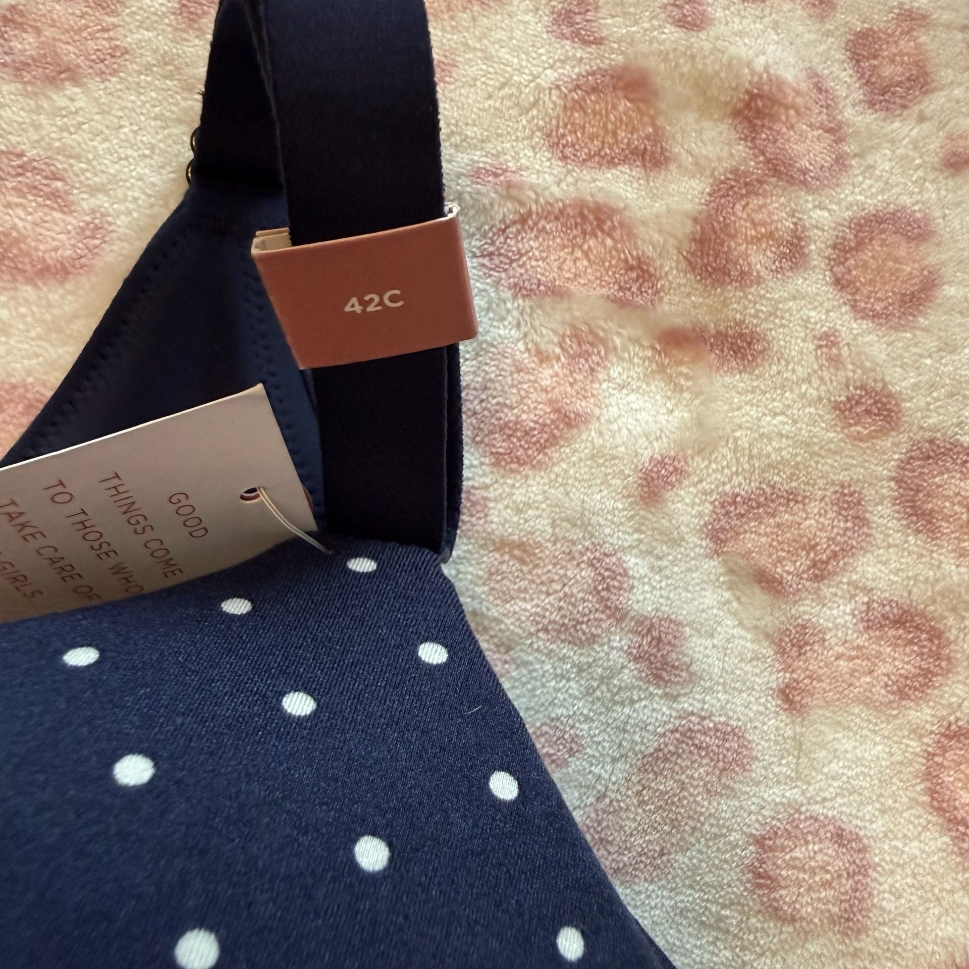 Cacique Polka Dot Bra Size 42C Navy Blue 3
