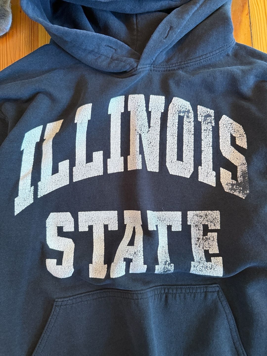 Gildan Illinois State Heavy Blend Hoodie Navy Blue 3