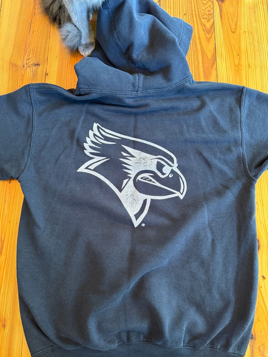 Gildan Illinois State Heavy Blend Hoodie Navy Blue 5
