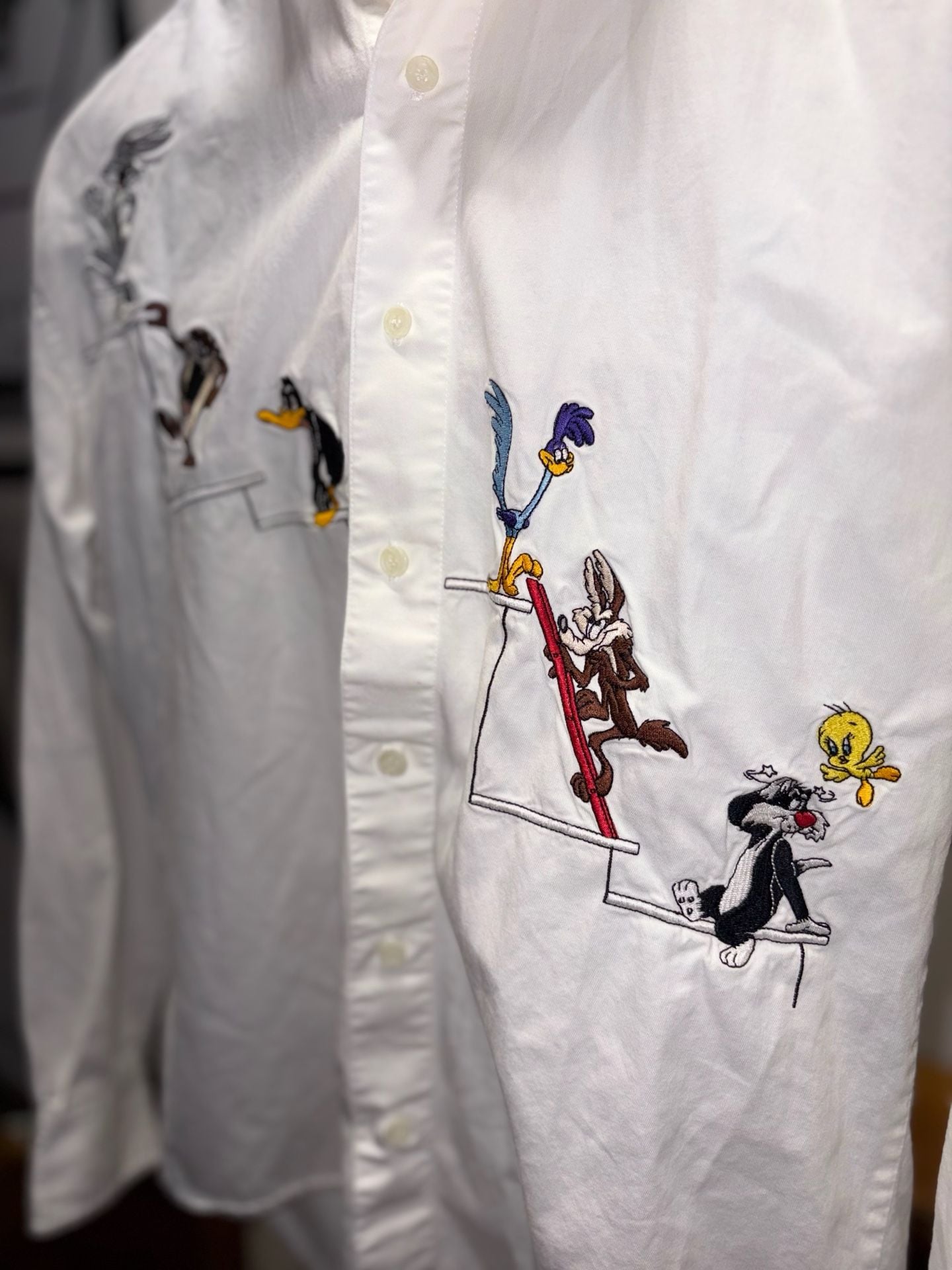 1994 Acme Vintage Looney Tunes Embroidered Long Sleeve Button Down Shirt XS 6