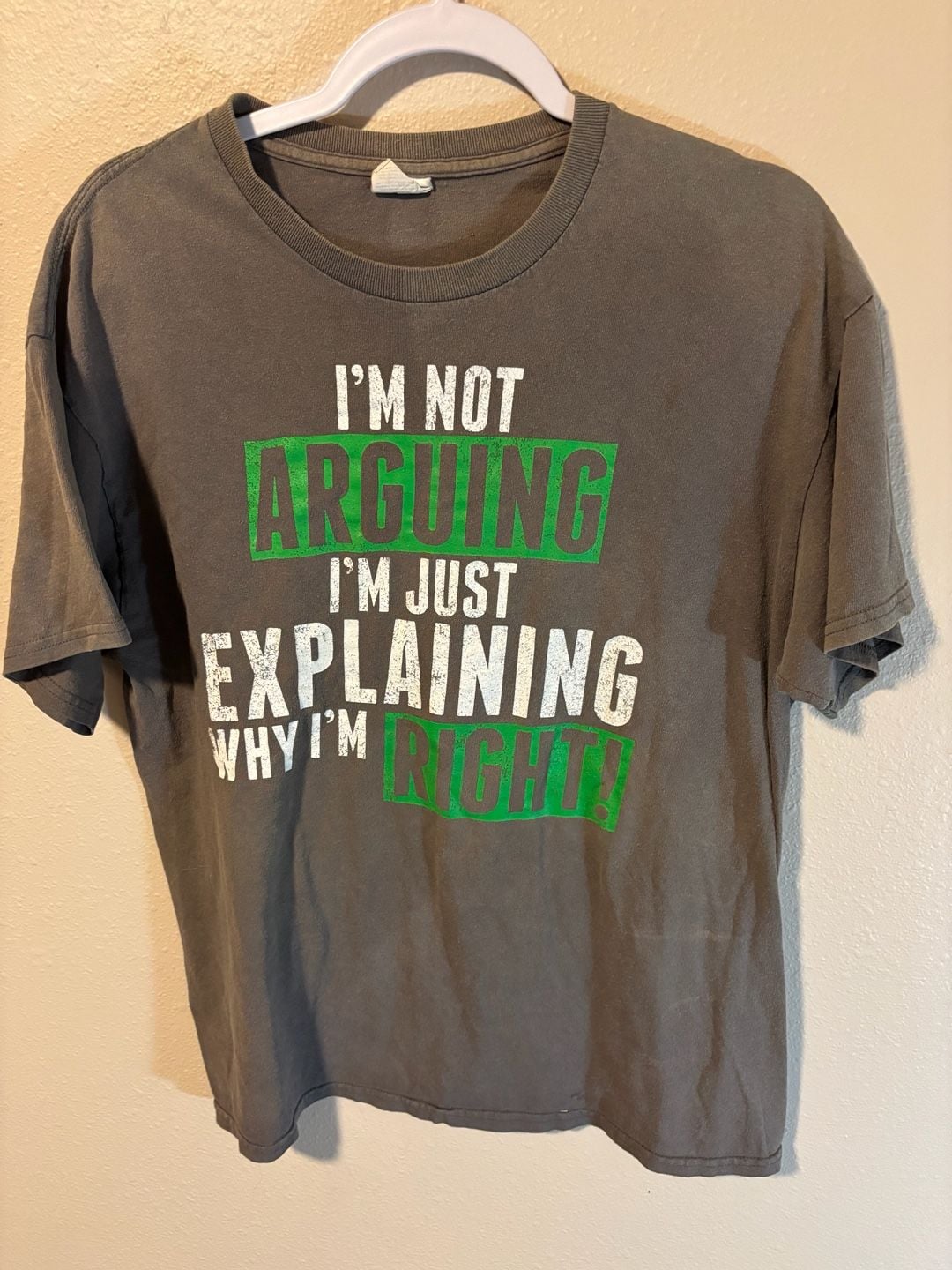 Gildan I'm Not Arguing T-Shirt Size L Gray Graphic Novelty 2