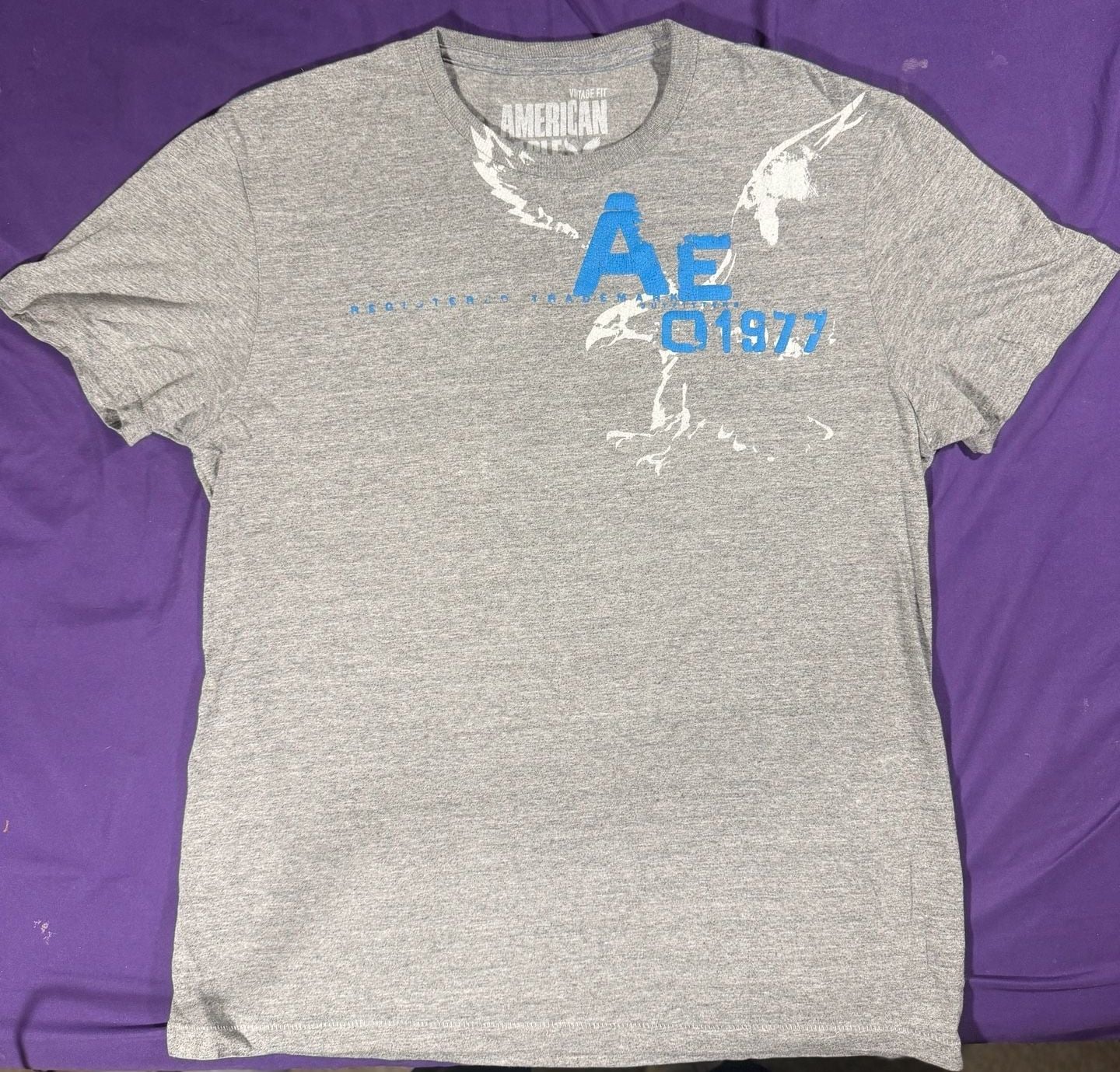 American Eagle Outfitters T-Shirt Size M Gray Graphic 1977 Tee 2