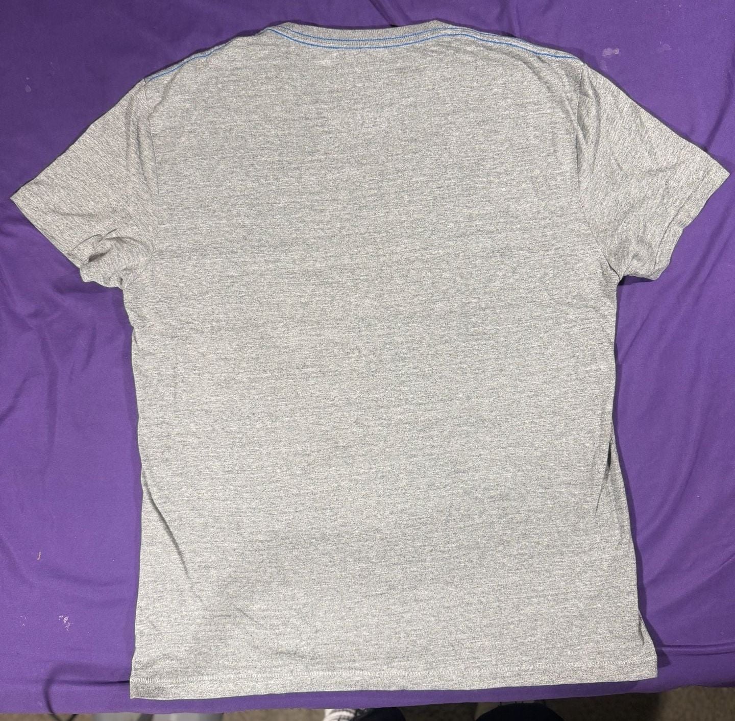 American Eagle Outfitters T-Shirt Size M Gray Graphic 1977 Tee 4