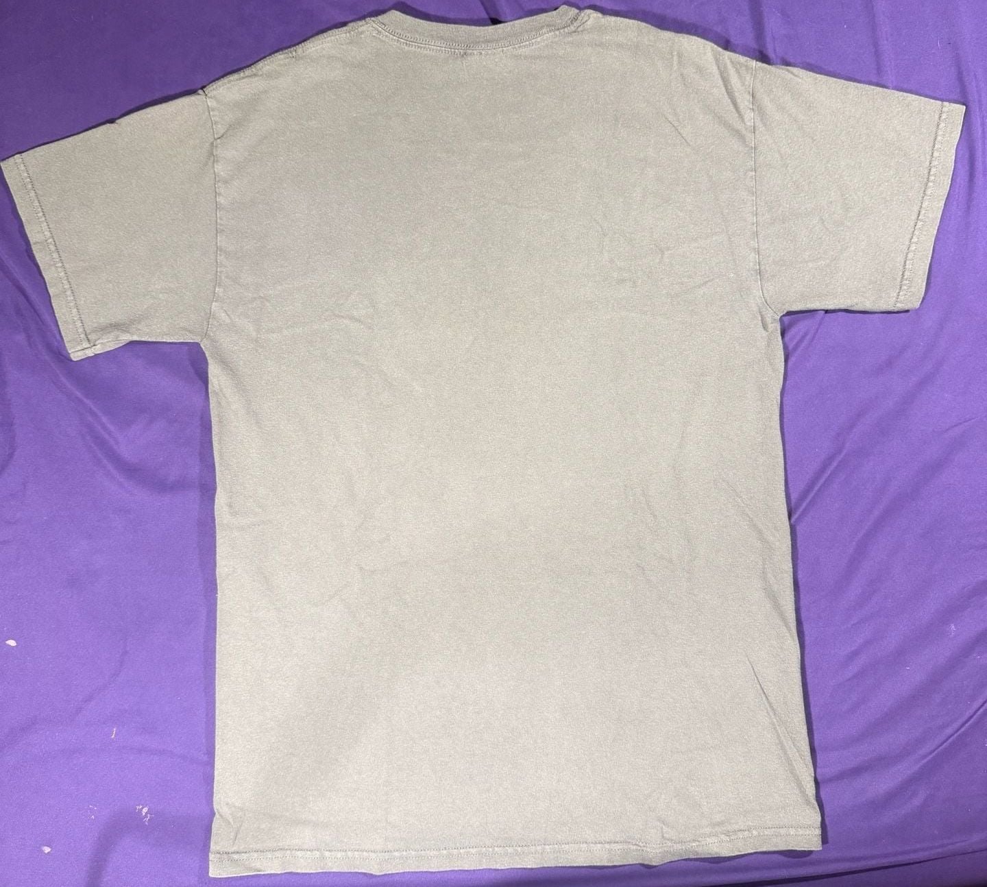 Gildan Las Vegas 1905 Graphic T-Shirt Size M Gray Cotton 4