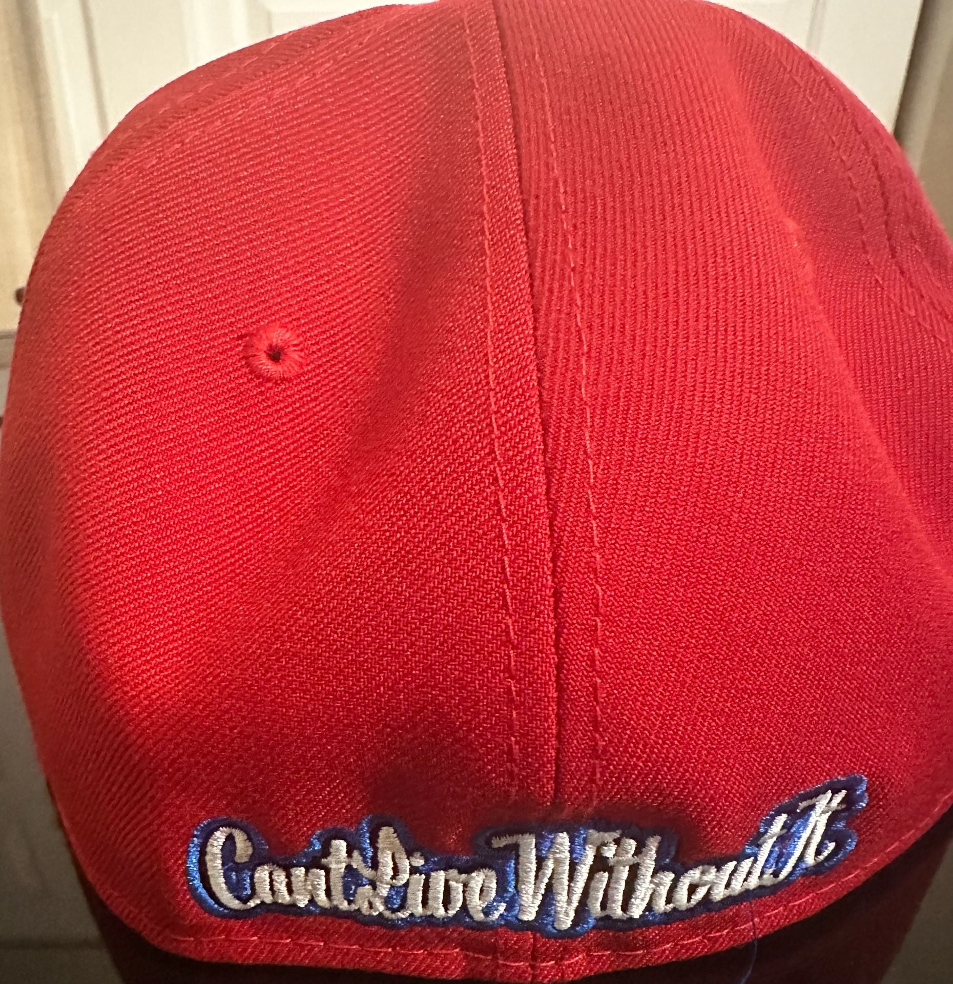 Coca-Cola Can't Live Without It Red Baseball Cap 2
