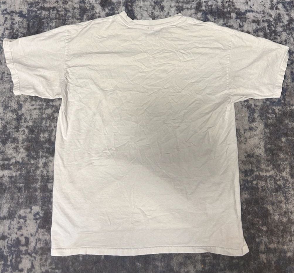 Vintage 2001 Arizona Diamondbacks Champs T-Shirt White 4