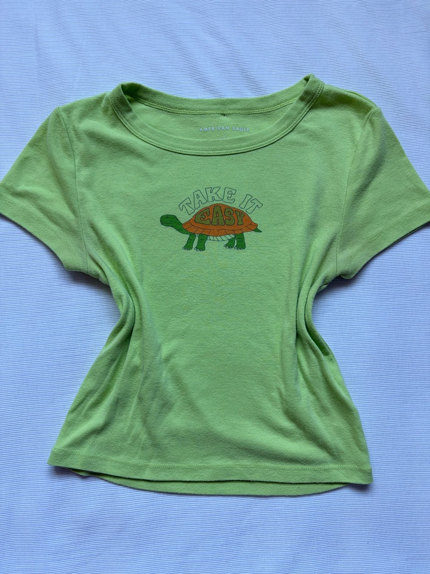American Eagle Green Ribbed Turtle Baby Tee Size M Y2K Crop Top 2