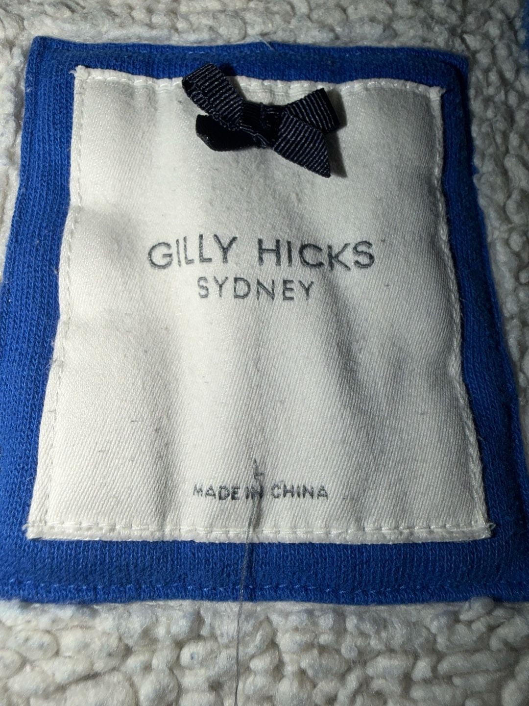 Y2K style Gilly Hicks 1932 Sherpa Lined Button Hoodie Blue 9