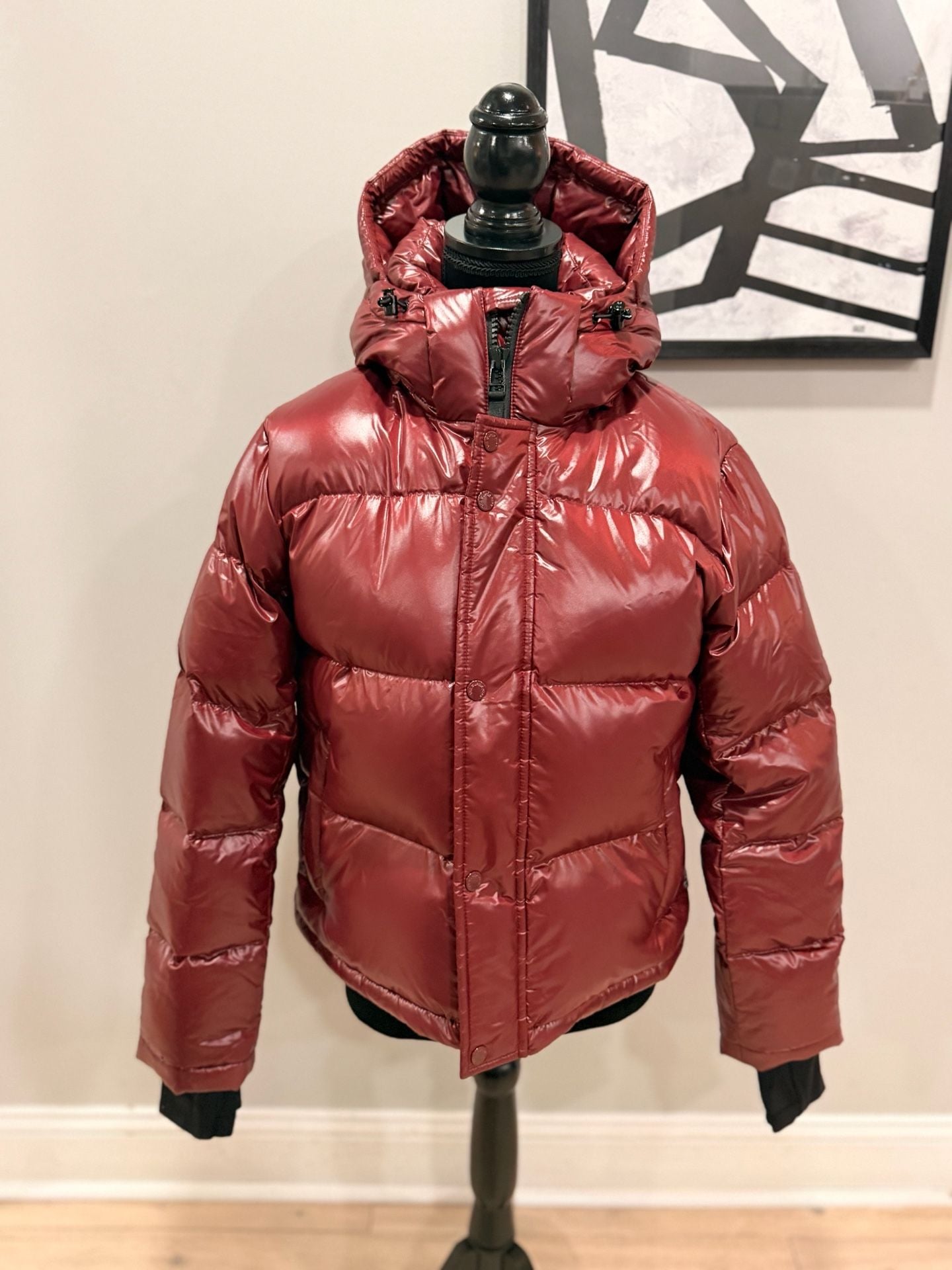 Aritzia The Super Puff Hi-Gloss Jacket burgundy Size Small 6