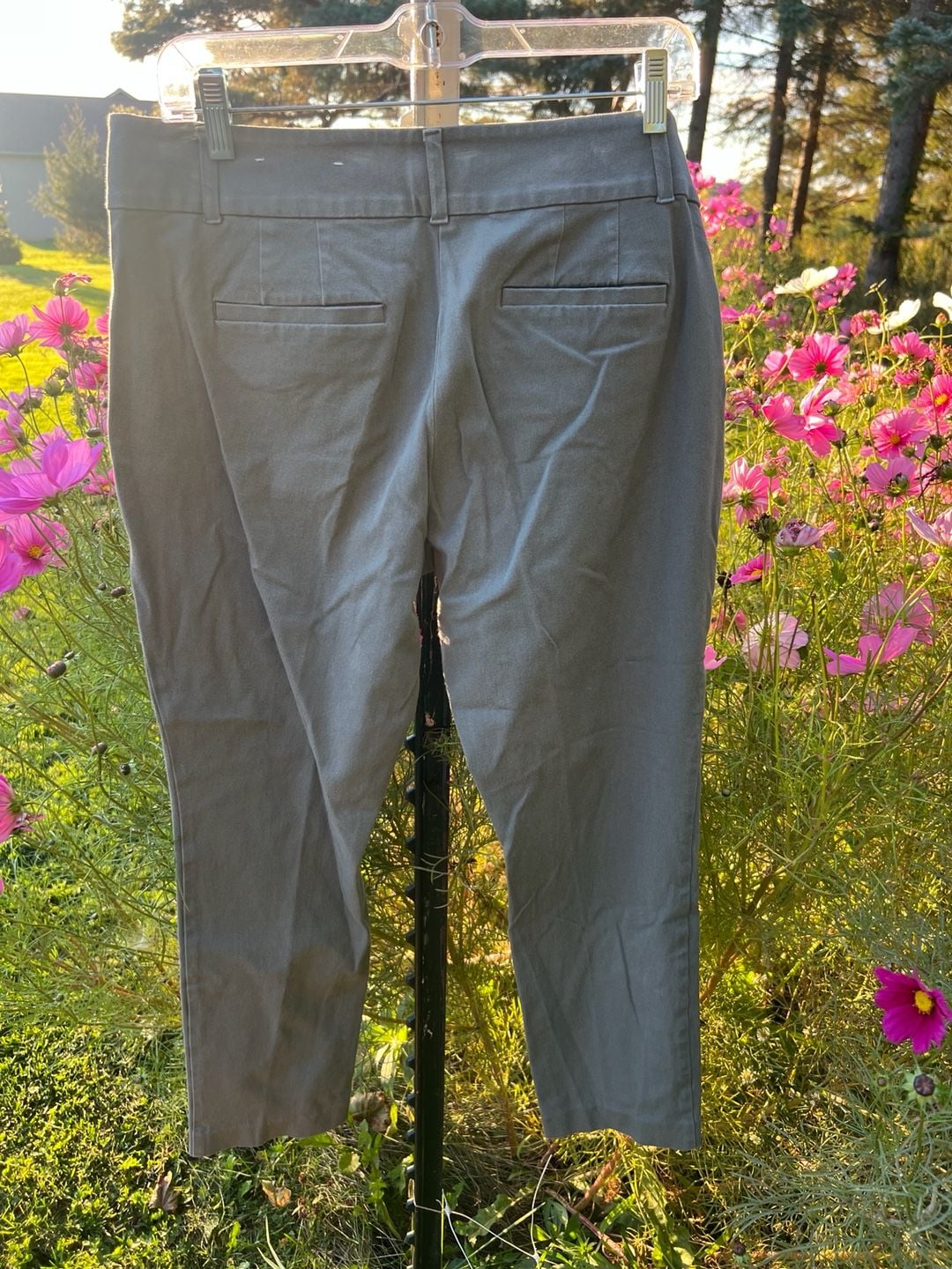 Loft Curvy Skinny Ankle Pants Size 10 Gray Cotton Blend 4