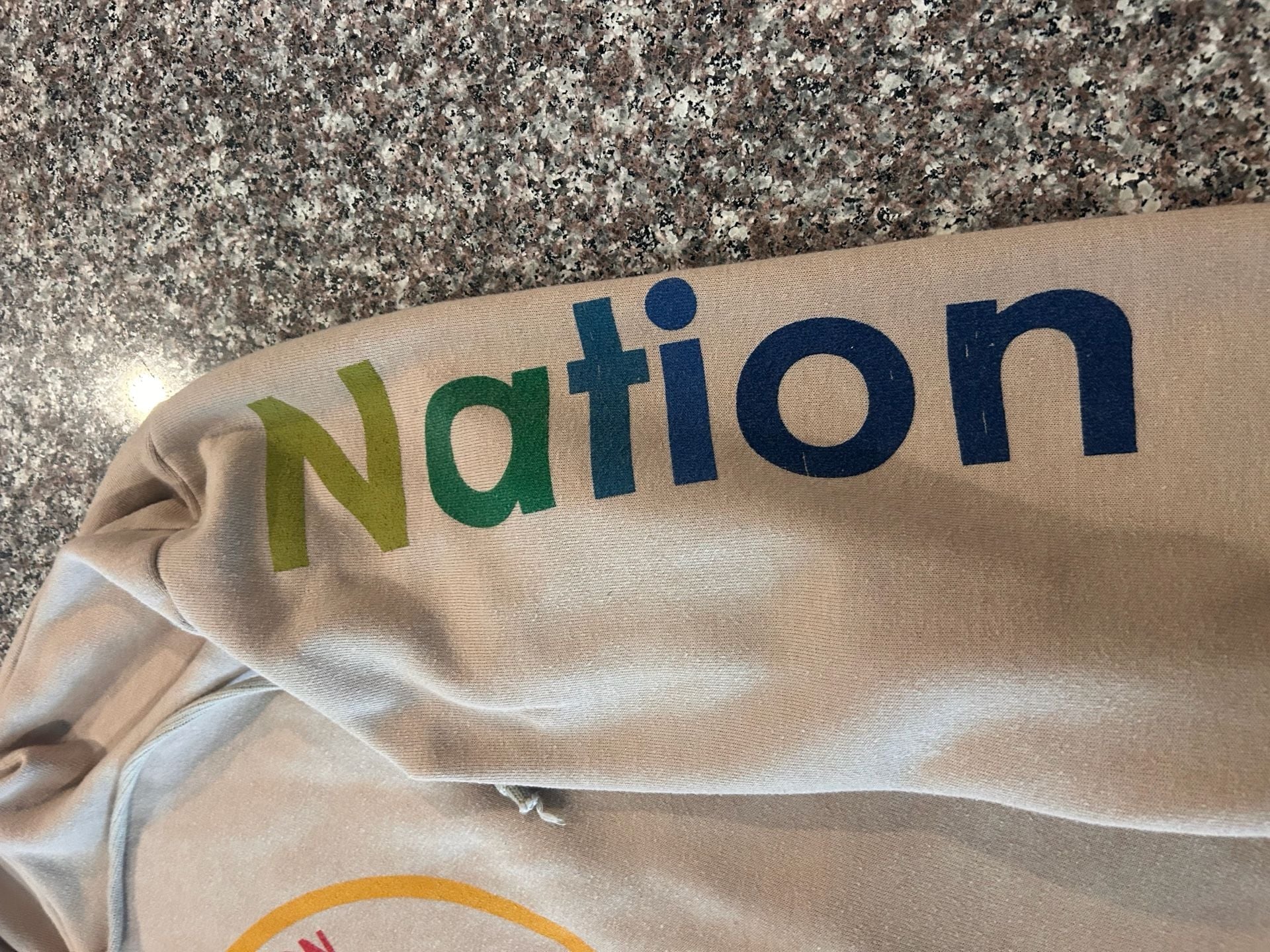 Aviator Nation Surfer Hoodie Vintage tan 9
