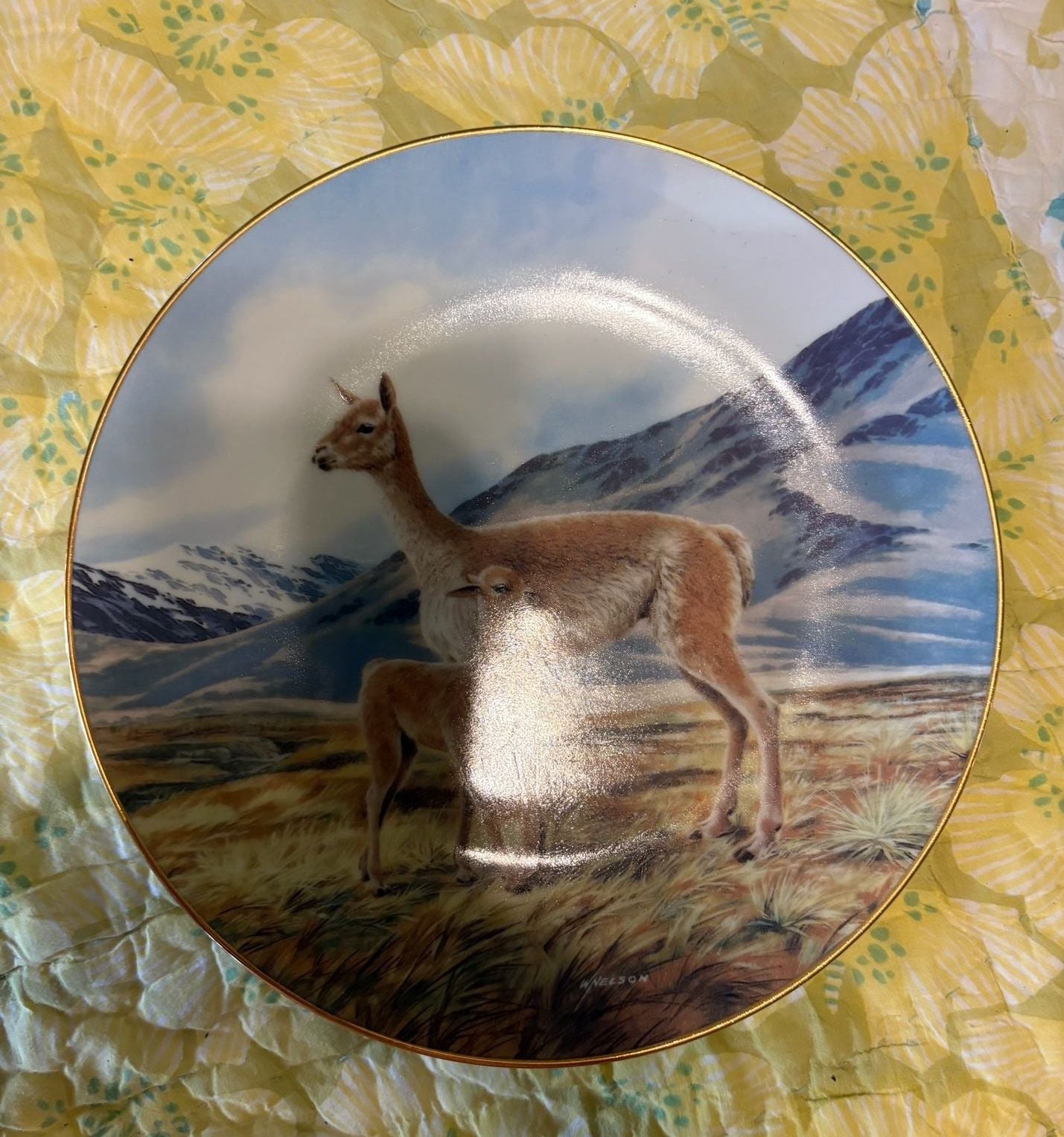 EUC W.J. George Collector Plate The Vicuna Will Nelson Last Of Their Kind 1