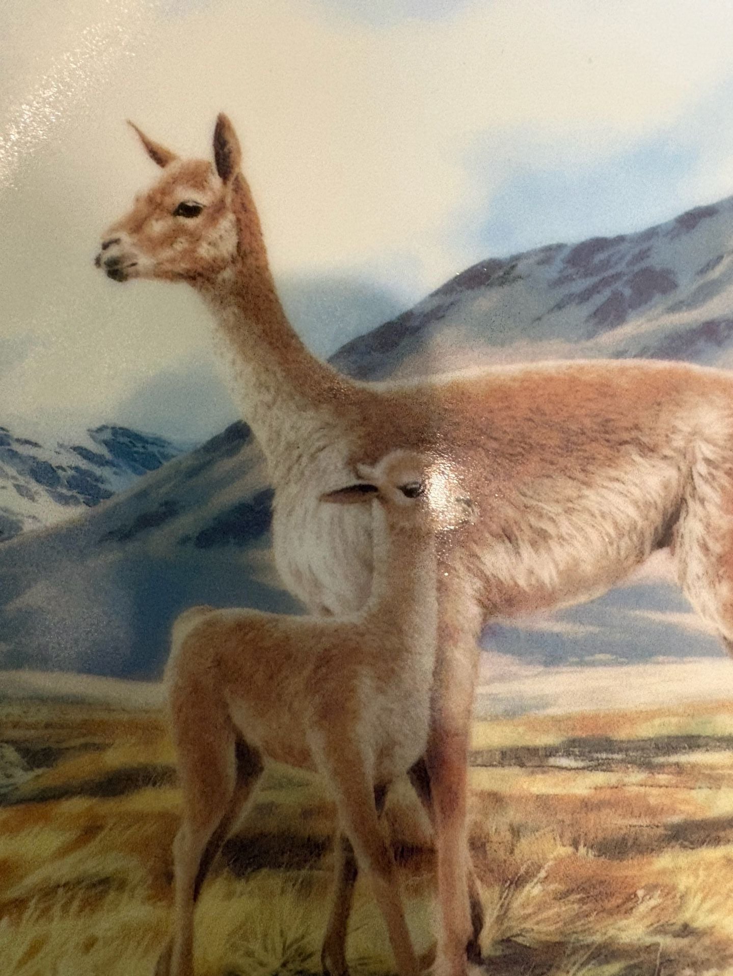 EUC W.J. George Collector Plate The Vicuna Will Nelson Last Of Their Kind 2