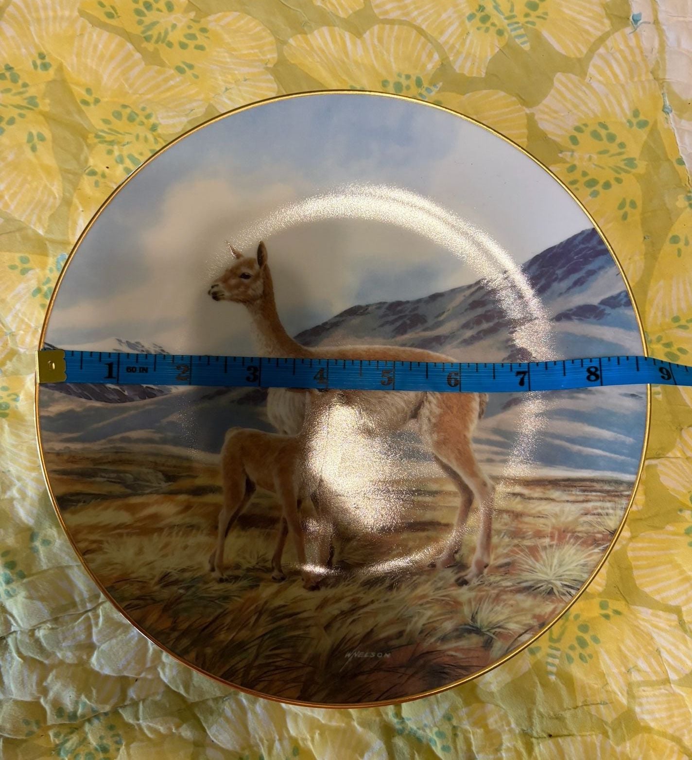 EUC W.J. George Collector Plate The Vicuna Will Nelson Last Of Their Kind 3