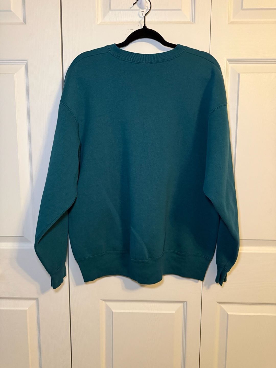 Vintage Fruit Of The Loom Illinois State Sweatshirt XL Teal Graphic Crewneck 6