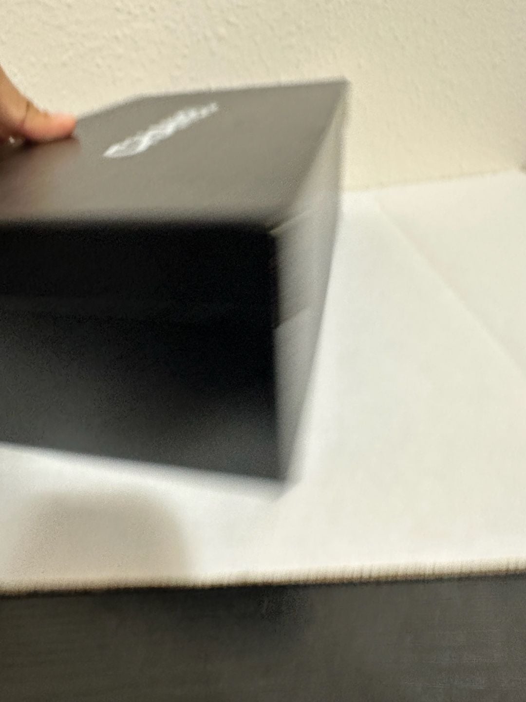 Chanel Shoebox 4