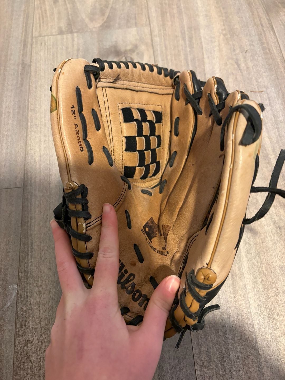Wilson A2450 12" Baseball Glove 4