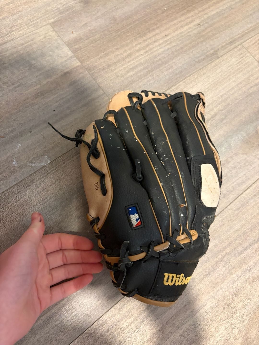 Wilson A2450 12" Baseball Glove 8
