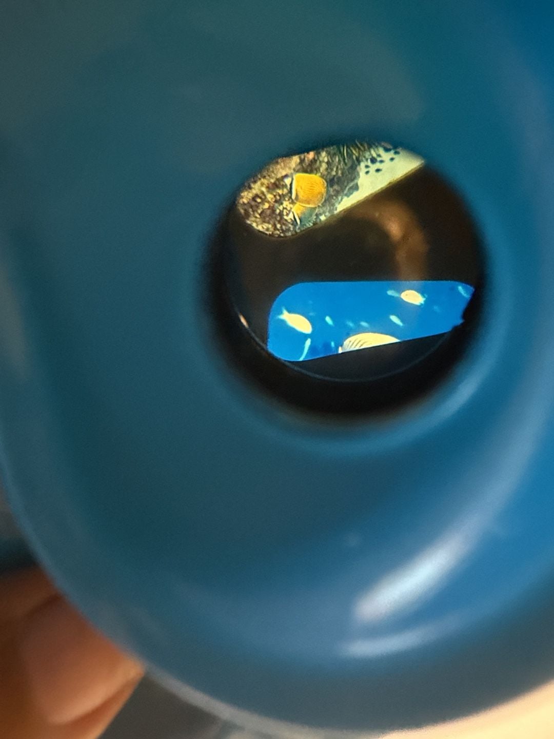 View Magic 3D Viewer Sea Creatures Of The World With Discs A B C 6
