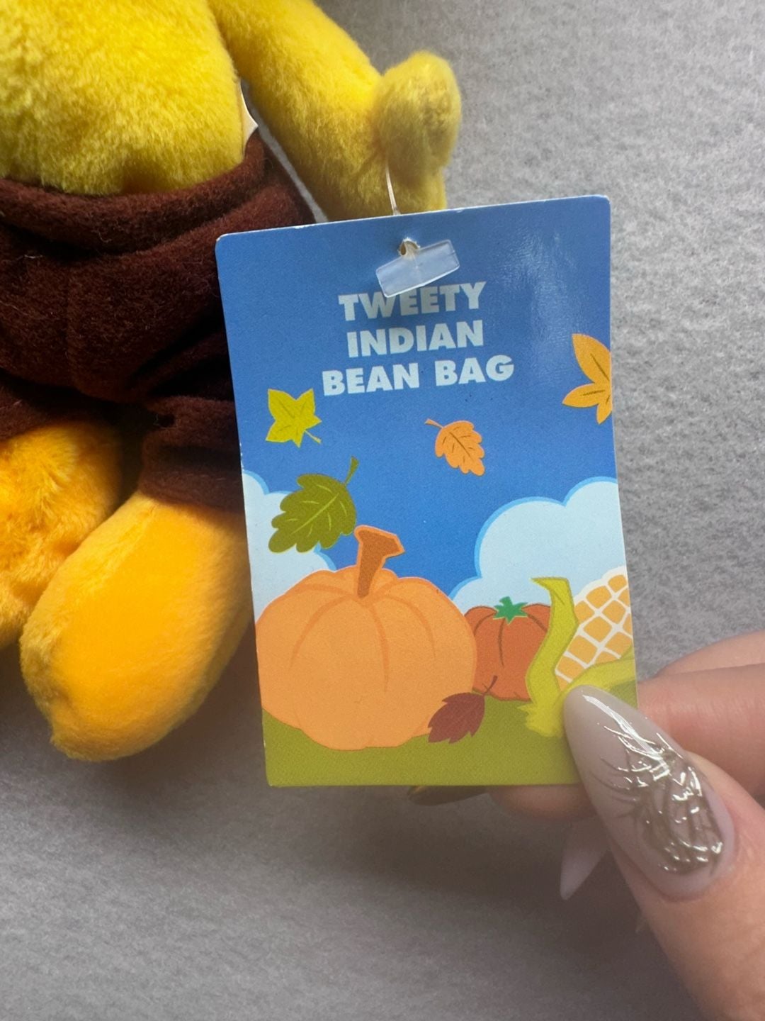 Tweety Bird Skeleton and Indian Bean Bag Plush Toys New With Tags 8