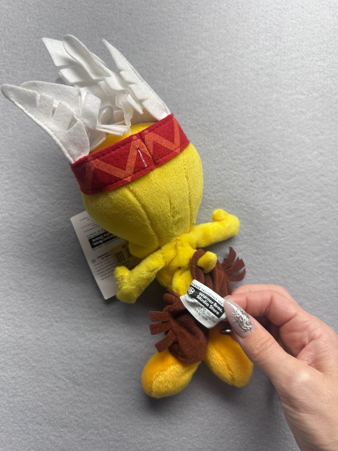 Tweety Bird Skeleton and Indian Bean Bag Plush Toys New With Tags 10