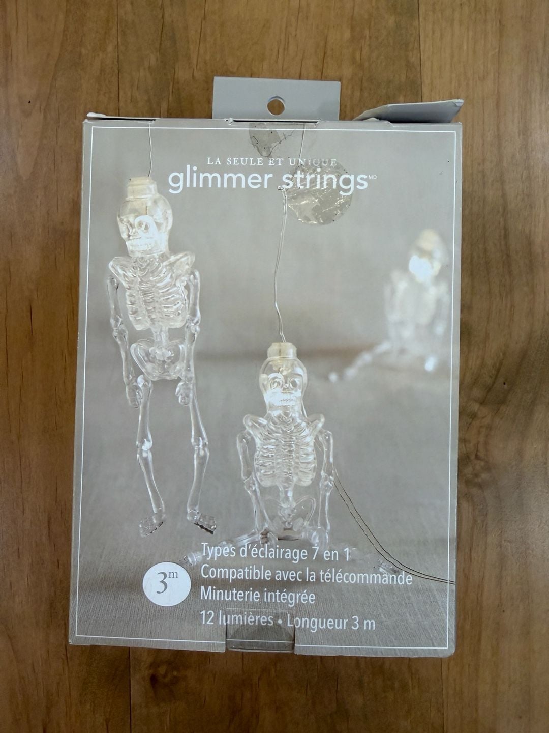 Pier 1 Imports Skeleton Glimmer Strings LED Lights 10 Ft 7