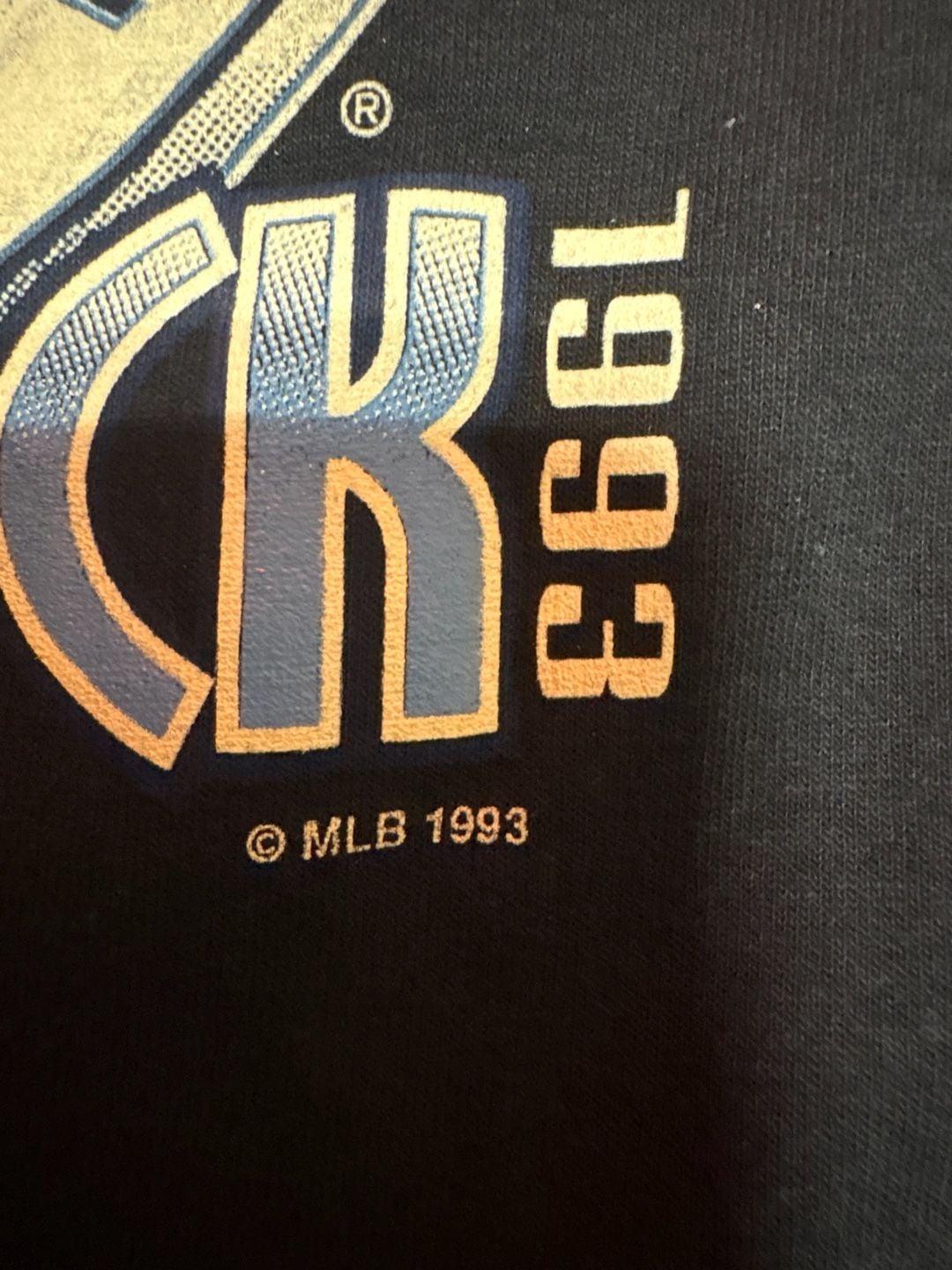 Vintage 1993 Toronto Blue Jays World Series Champs graphic T-Shirt Salem Sportswear Size Mens Large
#Vintage # 90s #WorldSeries #MLB
Measurements are listed👓
Send offers 📲📲 7