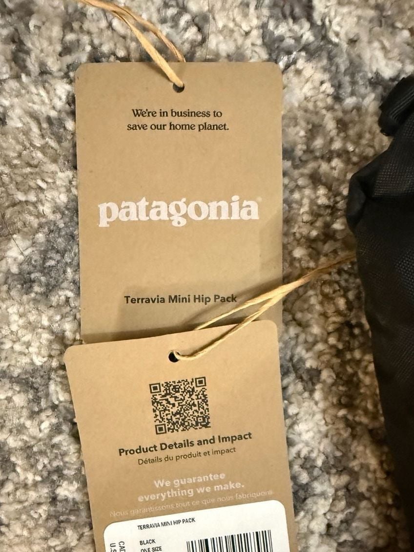 Patagonia Terravia Mini Hip Pack Black New 2