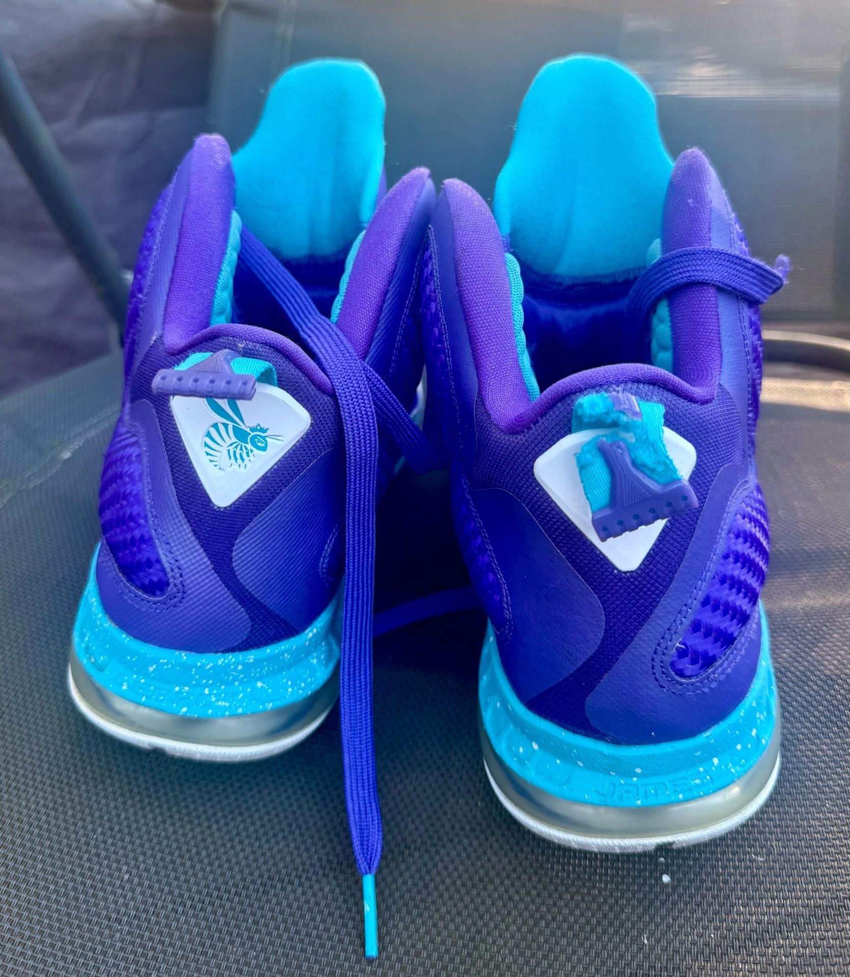Nike LeBron 9 Purple Blue Basketball Shoes 4